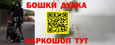 молекула духа Кудымкар