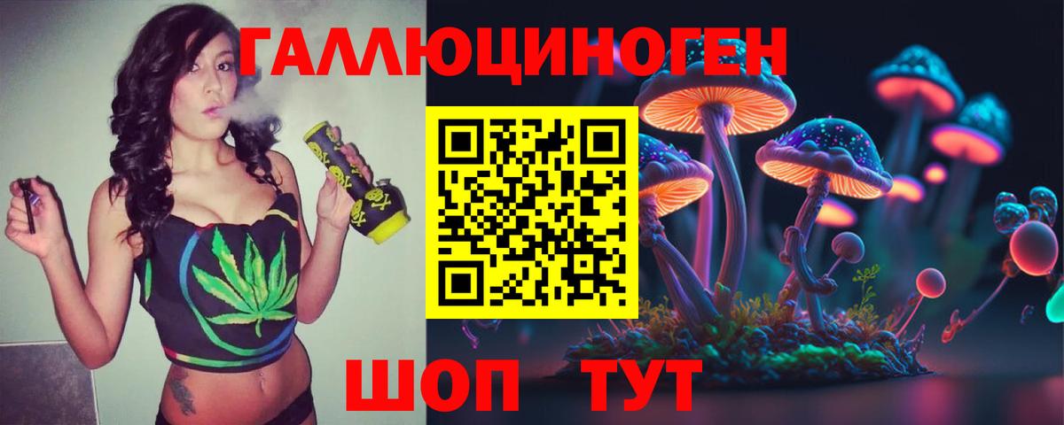 Галлюциногенные грибы Psilocybine cubensis Сочи