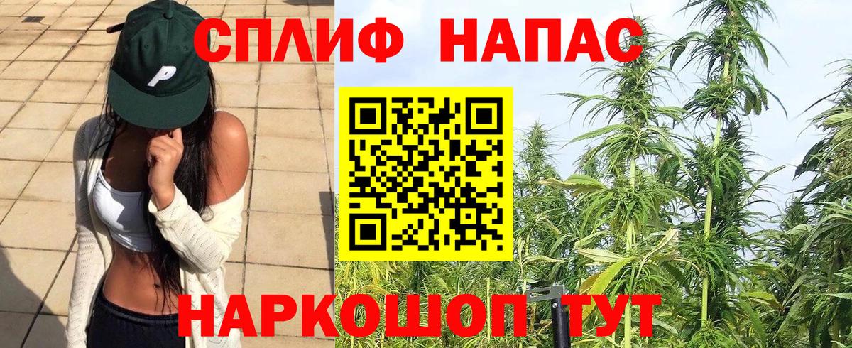 Шишки марихуана марихуана Сочи